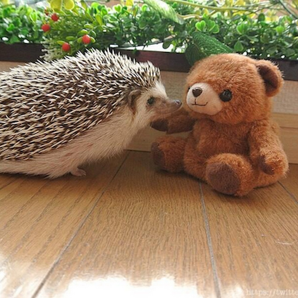 Meet your Posher, Karalynn